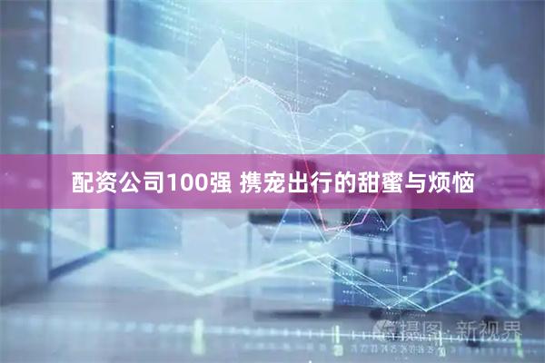 配资公司100强 携宠出行的甜蜜与烦恼